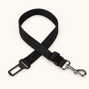 Safety Belt