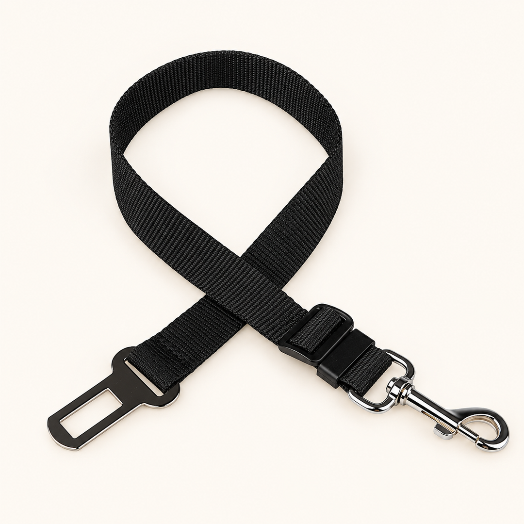 Benchwell Safety Belt (2-pack)