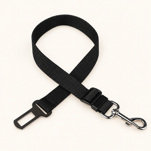 Safety Belt