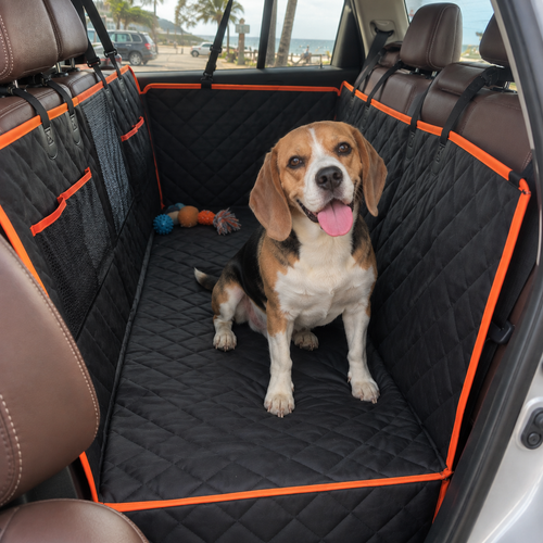 Benchwell Backseat Bridge
